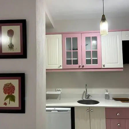 Olea Tas Lavanta A3 Konagi Studio Apartamento Alaçatı