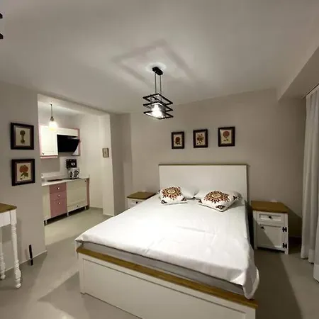 Apartamento Olea Tas Lavanta A3 Konagi Studio Alaçatı