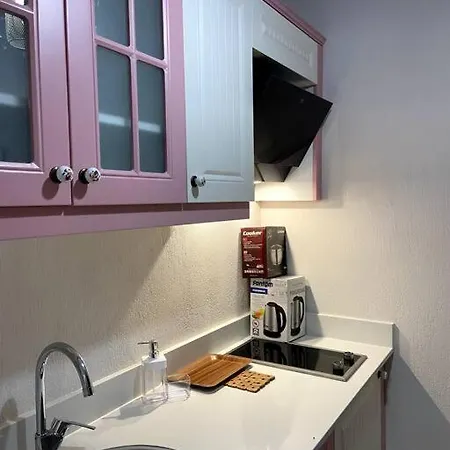 Olea Tas Lavanta A3 Konagi Studio Apartamento Alaçatı